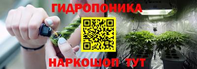 apvp Камышлов