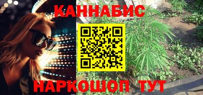 apvp Камышлов