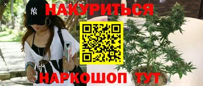 гидропоника Канаш